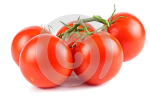 fresh tomato isolated on white background. close up