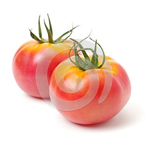 Fresh tomato