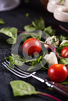 Fresh tomato and mozzarella salad on black slate