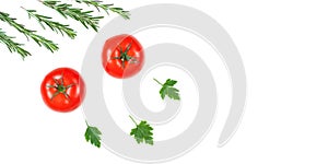 Fresh tomato, parsley and rosemary isolated on a white background. Herbs and spices. Food Ingredients, top view