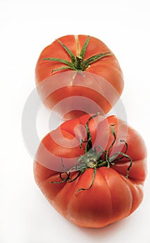 Fresh Tomato raf