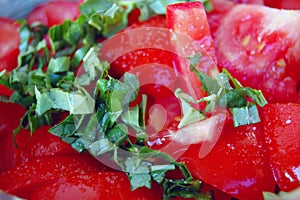 Fresh tomato salad with basil in ceramic bowl