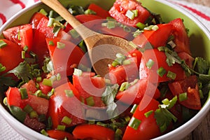 Fresh tomato salad with herbs in a bowl close-up. horizontal