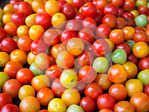 Fresh tomato for sale at market