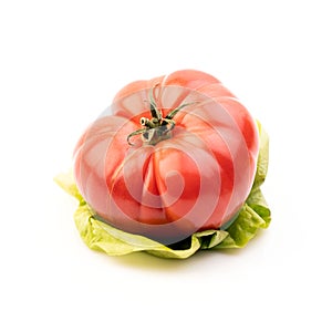 Fresh tomato on white background