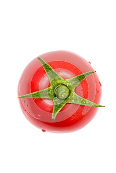 Fresh tomato on white background. Single full red tomato isolated on a white background, top view