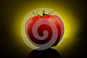 Fresh tomato on yellow