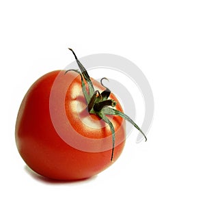 Fresh tomatoe
