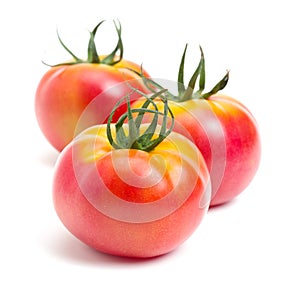 Fresh tomatoes