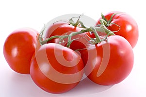 Fresco tomates 