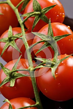 Fresh tomatoes