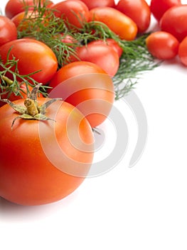 Fresh tomatoes