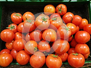 Fresh tomatoes