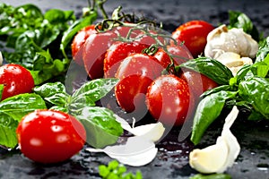 Fresh tomatoes with basil garlic and sea salt on black slate background