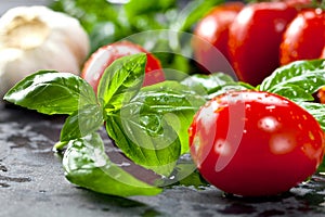 Fresh tomatoes with basil garlic and sea salt on black slate background