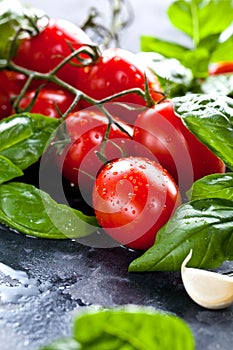 Fresh tomatoes with basil garlic and sea salt on black slate background