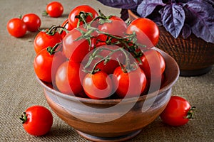 Fresh tomatoes with basil