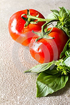 Fresh tomatoes with basil leaves on rustic background