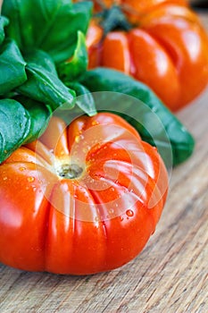 Fresh tomatoes with basil for use as cooking ingredients with copy space. Tomatoes with basil on wooden table background.