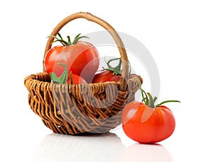 Fresh tomatoes in a basket