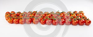 Fresh tomatoes branch