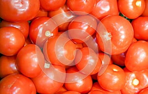 Fresh tomatoes on counter in a farm store