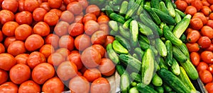 Fresh Tomatoes and Cucumbers