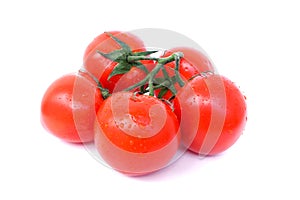 Fresh tomatoes with drops on white background. Close up. Twig.