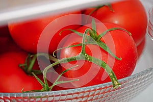 Fresh tomatoes in the fridge close up view