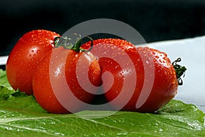 Fresh tomatoes on the green colza background