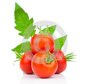 Fresh tomatoes with green leaves