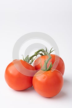 Fresh tomatoes on a green stem on white