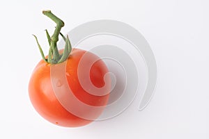 Fresh tomatoes on a green stem on white