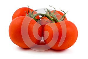 Fresh tomatoes isolated on white