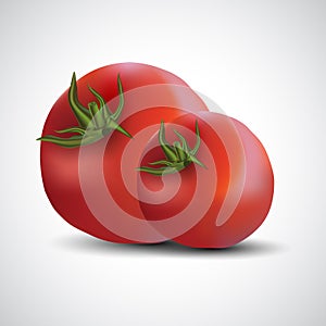 Printfresh tomatoes isolated white background. vector illustration