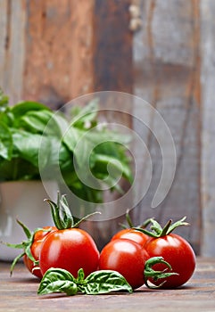 Fresh tomatoes with leaf basil at old