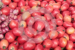fresh tomatoes in the market.