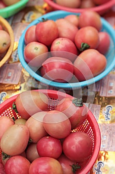 fresh tomatoes in the market.