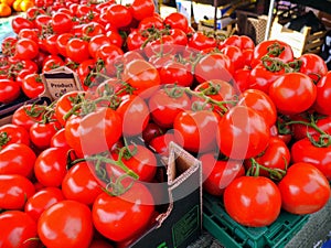 Fresh tomatoes photo