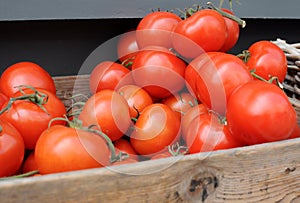 Fresh tomatoes on a market stall