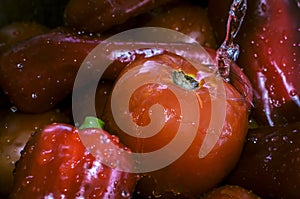 Fresh tomatoes and paprika with water splash