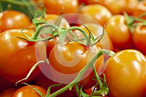 Fresh tomatoes piled on display for sale