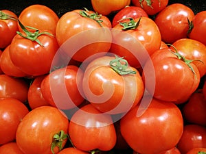 Fresh tomatoes