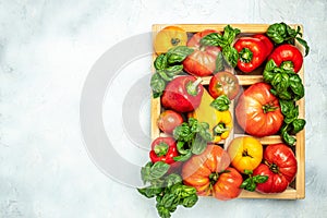 fresh tomatoes, sweet peppers and basil on white table. Healthy food. Gardening. place for text, top view