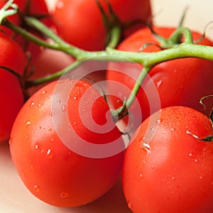 Fresh tomatoes