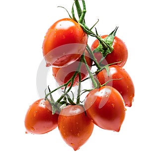 Fresh tomatoes on vine