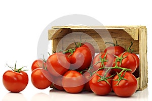 Fresh tomatoes on the vine in a wooden crate