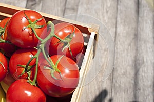 Fresh tomatoes on the vine in a wooden crate.