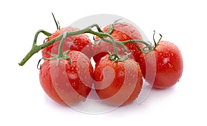 Fresh tomatoes with water drops isolated on a white background