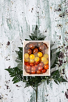 Fresh tomatoes on white background